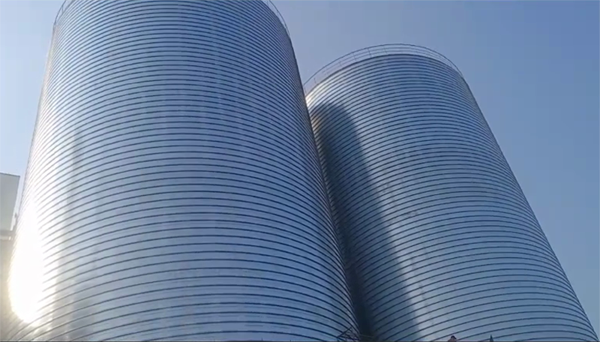 和田县2座混凝土高架卷板仓